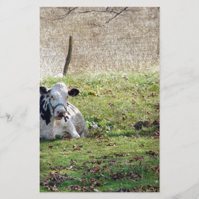 Vaca Leiteira em Descolagem (Frente)