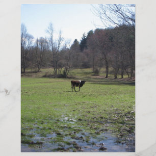 Vaca solitário