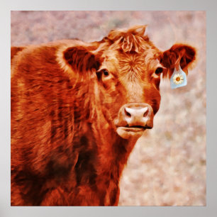 Vaca Vermelha Angus com Impressão de arte fotogr