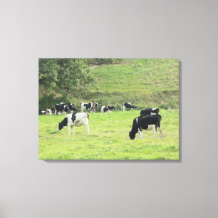 Vacas na Arte da Canvas da Parede Fotográfica do P