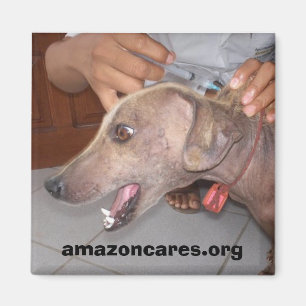 Vai Bem Em Breve! Íman