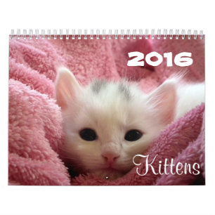 Vai o ~ bonito vai calendário dos gatinhos 2016