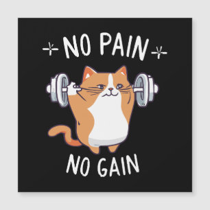 Vamos Construir Algum Músculo! Hora do Gym!