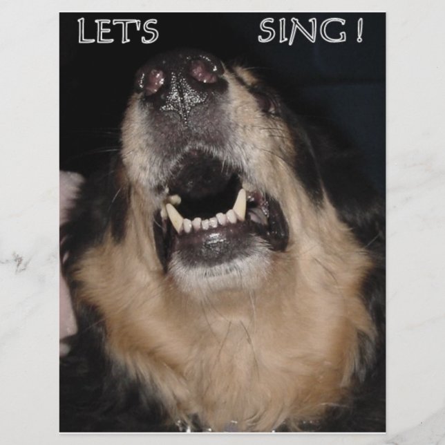 VAMOS SING! (Frente)