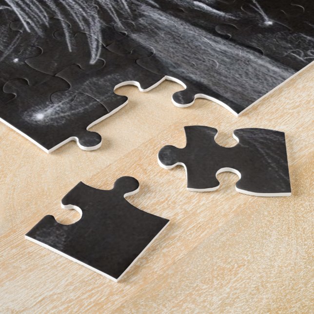 "Vampiro escuro do QUEBRA-CABEÇA da arte da (Lateral)