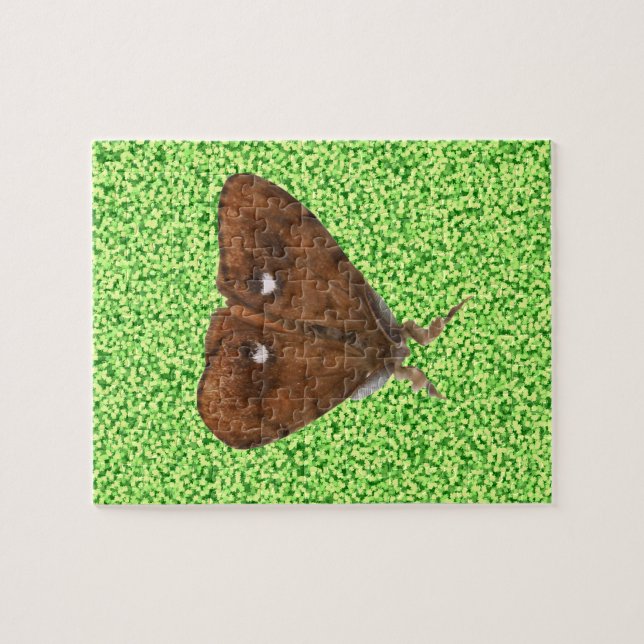 Vapourer Moth Quebra-cabeça (Horizontal)