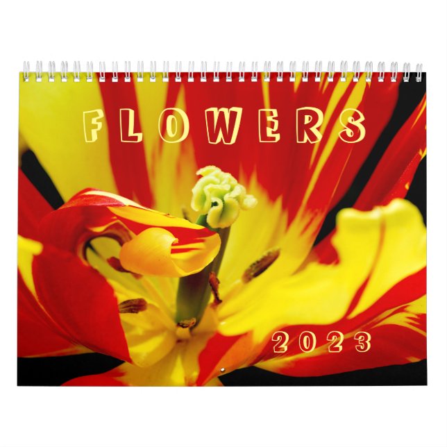 Várias flores calendário (Capa)