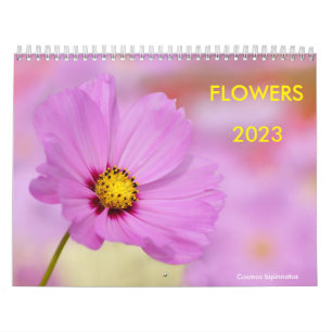 Várias flores calendário