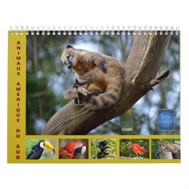 Vários animais da América do Sul Calendário de 12  (Capa)