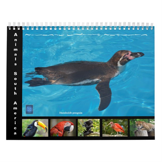 Vários animais da América do Sul Calendário de 12  (Capa)