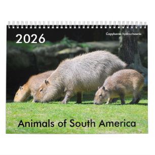 Vários animais do calendário da América do Sul