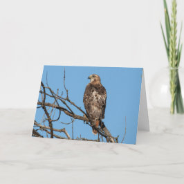 Vazio - Cartão de saudação Hawk