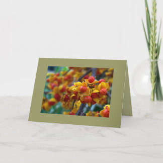 Vazio de Cartão de Saudação Personalizado de Fotog
