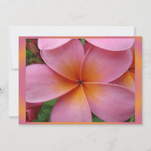 Vazio de Flor Tropical Plumeria Rosa Havaiana