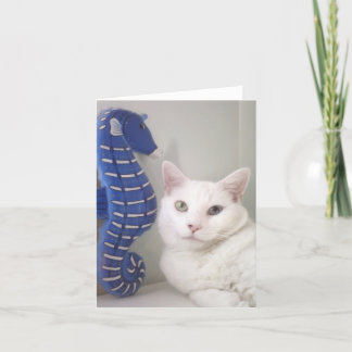 Vazio do cartão para dentro