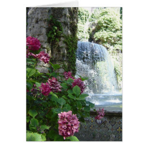 Vazio floral da cachoeira todo o cartão da ocasi