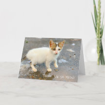 VAZIO OBRIGADO TÃO AMIGO! CARTÕES DE AGRADECIMENTO