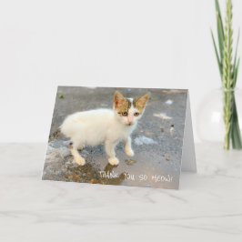 VAZIO OBRIGADO TÃO AMIGO! CARTÕES DE AGRADECIMENTO