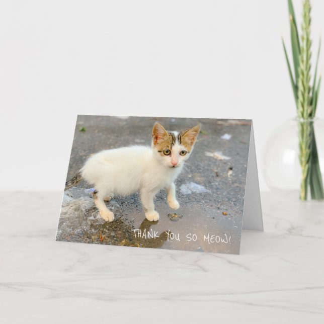 VAZIO OBRIGADO TÃO AMIGO! CARTÕES DE AGRADECIMENTO (Frente)