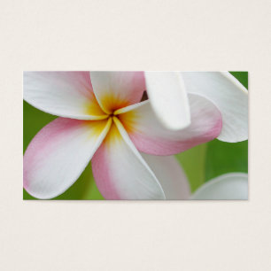 Vazio personalizado flor de Havaí do Frangipani d