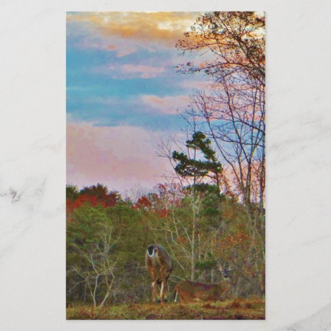 Veado com céu azul rosa (Frente)