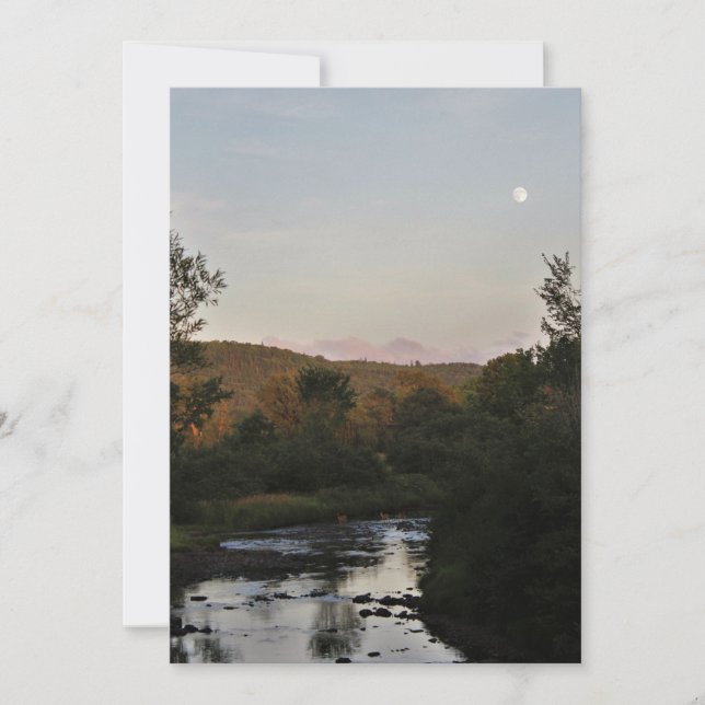 Veado debaixo da Lua (Frente)