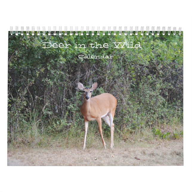Veado no Calendário Fotográfico Selvagem (Capa)