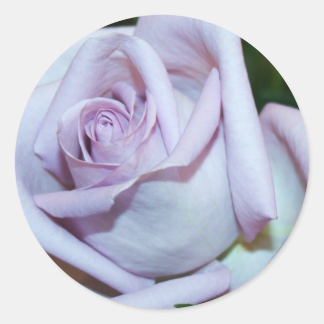 Vedantes e adesivos de envelope de Rosa Lavendar (Frente)