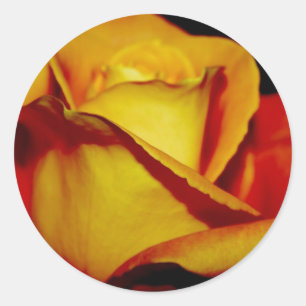 Vedantes e autocolantes de Envelope Peach legante