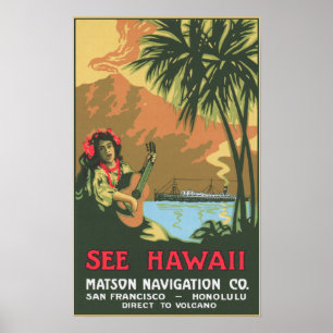 Veja o poster de Havaí