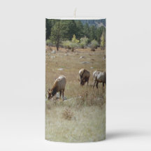vela Elk