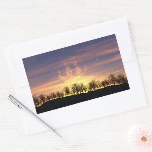 Veleja os adesivos do Céu Noturno