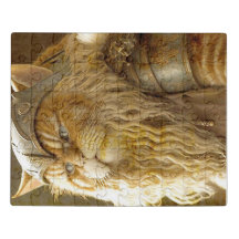 Velha Viking De Gato.
