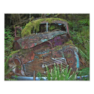 Velho Carro Naufrágio na Floresta Foto