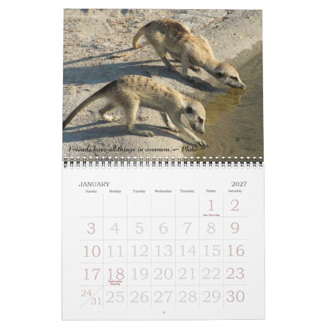 Velhos amigos, amigos novos - calendário 2011 de (Jan 2027)