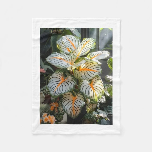 Velo Cobertor de Fleece com Folhas de Planta Tropical c (Frente)