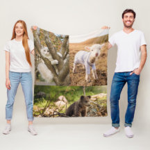 cobertor de fotos de animais fofos