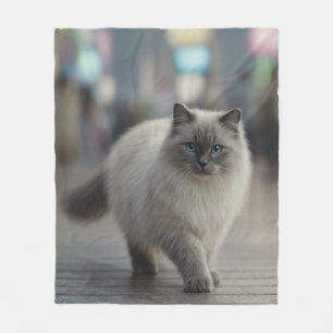 Velo Cobertor de Gato Ragdoll Curioso