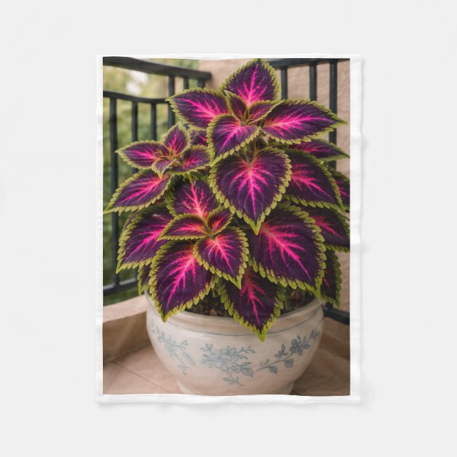 Velo Cobertor de Planta Coleus Roxo ADOM em Vaso (Frente)
