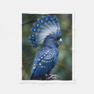 Velo Cobertor Exótico de Pássaro Coroa Azul