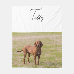 Velo Cobertor Personalizado para Animais de Estimação U