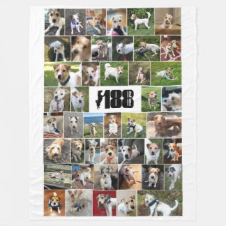 Velo O cobertor de 188 Rescue Group Large Fleece