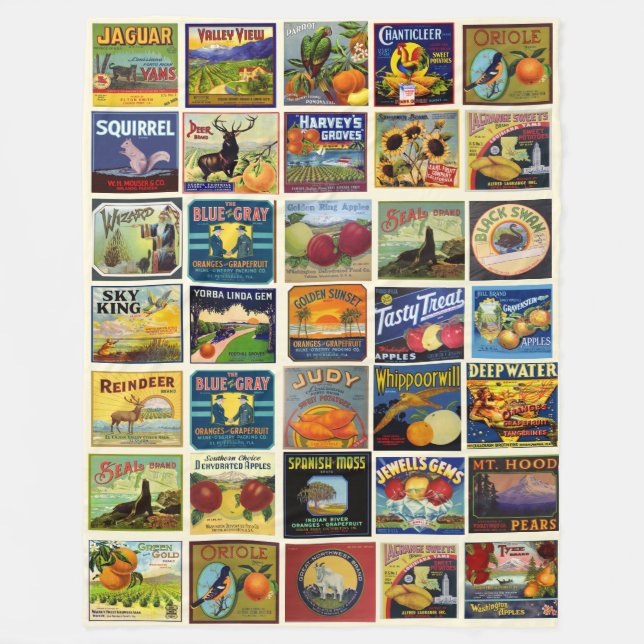 Velo O Cobertor de Fleece da Fruta Remendada (Frente)