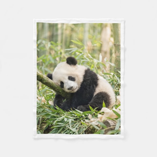 Velo Panda Adormecido em Cobertor de Bambu (Frente)