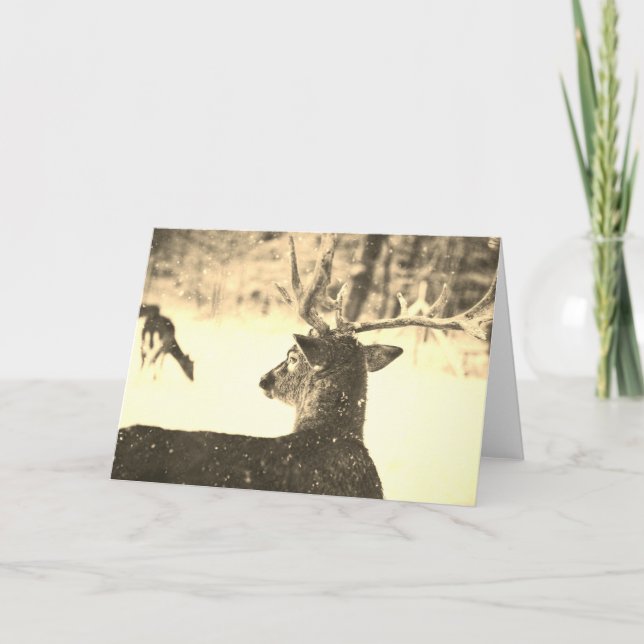 VELOCIDADE DE Cartão DE Nota Dobrada NA NEVE PERSO (Frente)