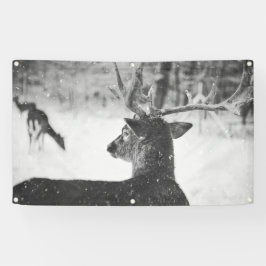 VELOCIDADE NA Banner DE NEVE COM GRUPOS