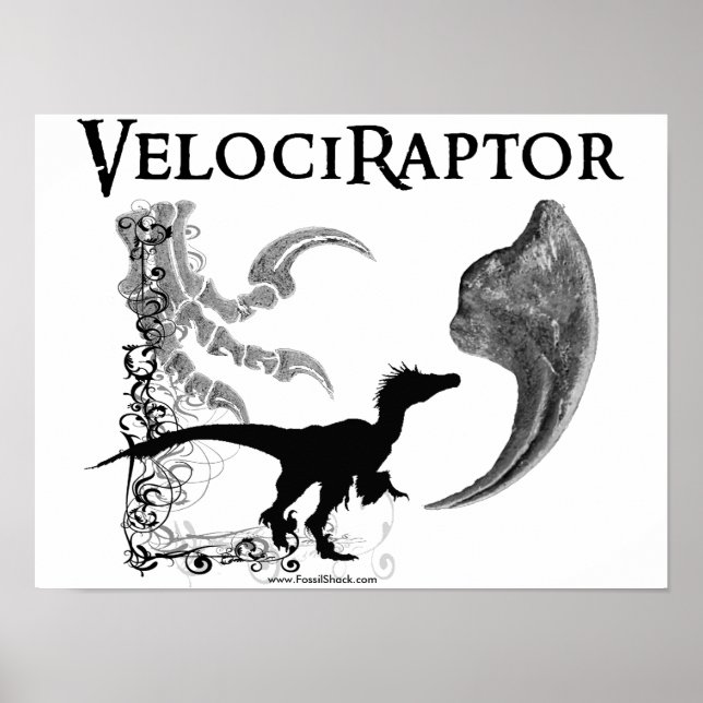 Velociraptor Poster (Frente)