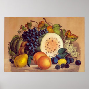 Vencedor do outono - Impressão