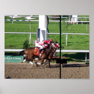 Vencedor Por Um Poster De Nariz