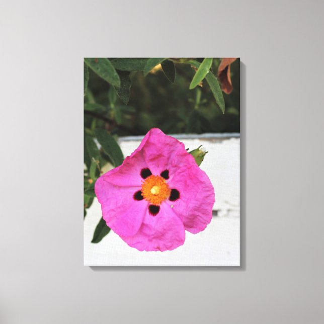 Vencido na Impressão de Tela Floral (Frente)